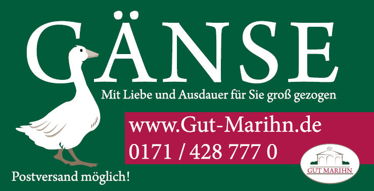 G�nse - Mit Liebe und Ausdauer f�r Sie gro� gezogen - Postversand m�glich!